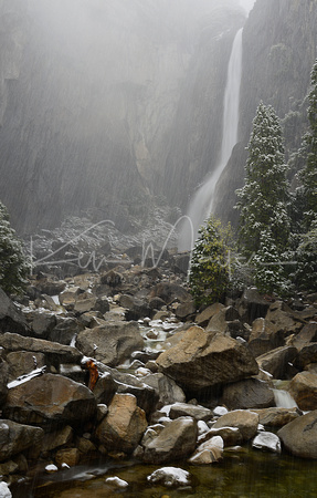 _6109863 Lower Yosemite Falls During Snowstorm