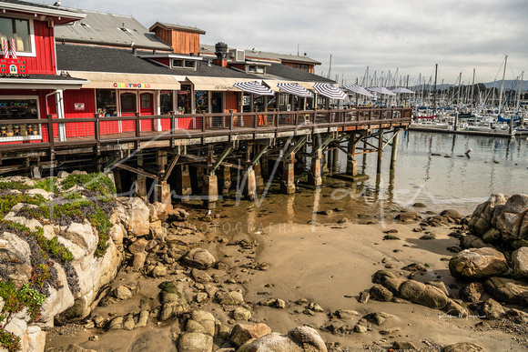 Monterey Harbor and Wharf