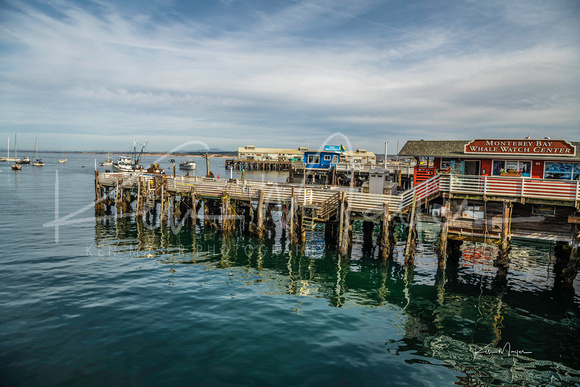 Monterey Whale Watch Center & Pier