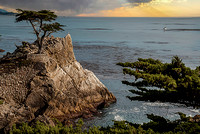 Storm at Lone Cypress 17 Mile Drive