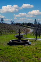 Fountain & Vineyard ilGioiello Winery