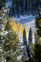 Sonora Pass Second Snowfall in Fall