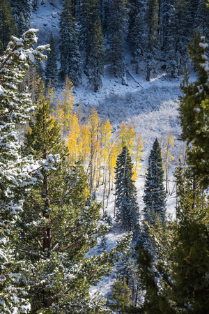 Sonora Pass Second Snowfall in Fall