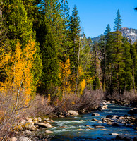 Fall Colors on the Stanislaus River