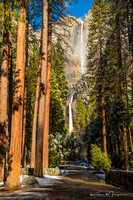 Yosemite Falls in Winter