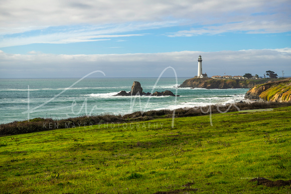 Pigeon Point Lighthouse & Meadow 12-11-2018