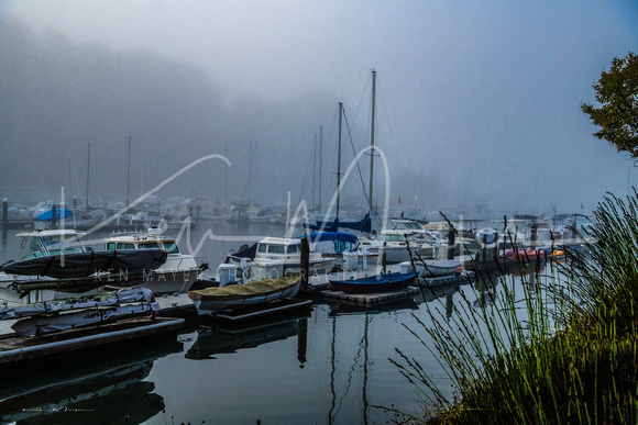 North Santa Cruz Harbor in fog