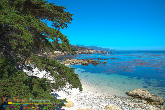 17 Mile Drive_HDR12