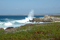 Monterey 1 2008