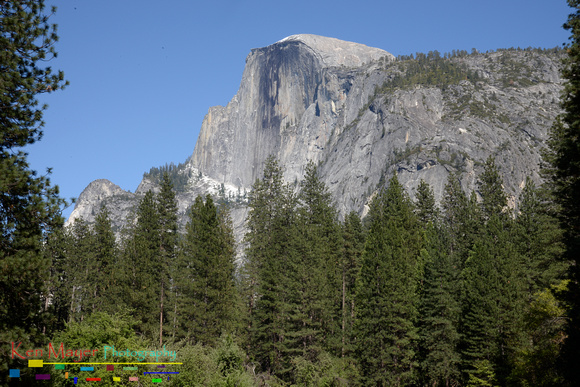 Yosemite Half Dome_6101627